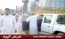 الشعير يرتفع .. ومربو الماشية يستغيثون .. والتجارة تحذر من آفة التخزين