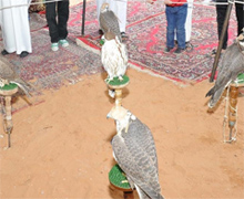 وكالة الانباء السعودية تنشر تقرير عن الحدود الشمالية وتربية الصقور بها