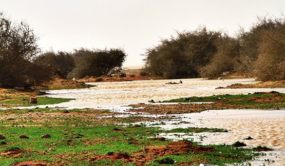 عرعر اليوم تواصل تغطيتها لأمطار الخير وتقدم تغطية لأمطار رفحاء (مرفق صور وفيديو )