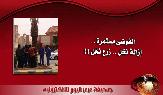 بعد التكلفة العالية .. أمانة الحدود الشمالية تزيل بعض أشجار النخيل ( الفاسد ) وتضع نخيل جديد !!